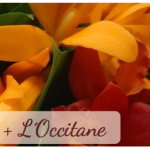 Coleção L’Occitane no Flores Online